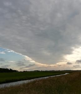 Pat 02 Vreemde lucht